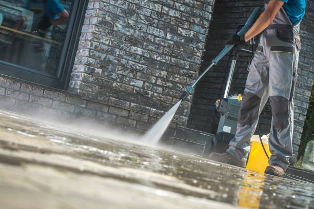 Best Graffiti Removal  in Twentynine Palms, CA