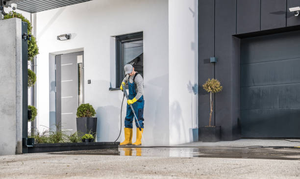 Best Roof Washing  in Twentynine Palms, CA