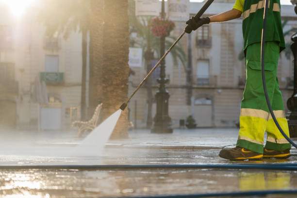 Best Driveway Pressure Washing  in Twentynine Palms, CA